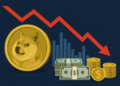 dogecoin investor pullback